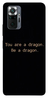 Чехол на Xiaomi Redmi Note 10 Pro House of the Dragon ver.9 фото 1 из 1