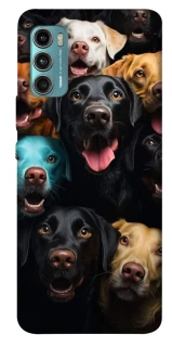 Чехол на Motorola Moto G60 Собаки фото 1 из 1
