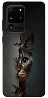 Чехол на Samsung Galaxy S20 Ultra Кот-подглядыватель v2 фото 1 из 1