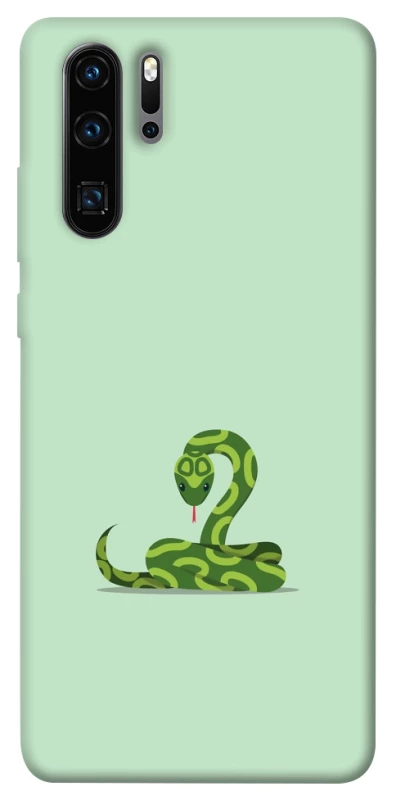 Чехол на Huawei P30 Pro Змейка фото 1 из 1