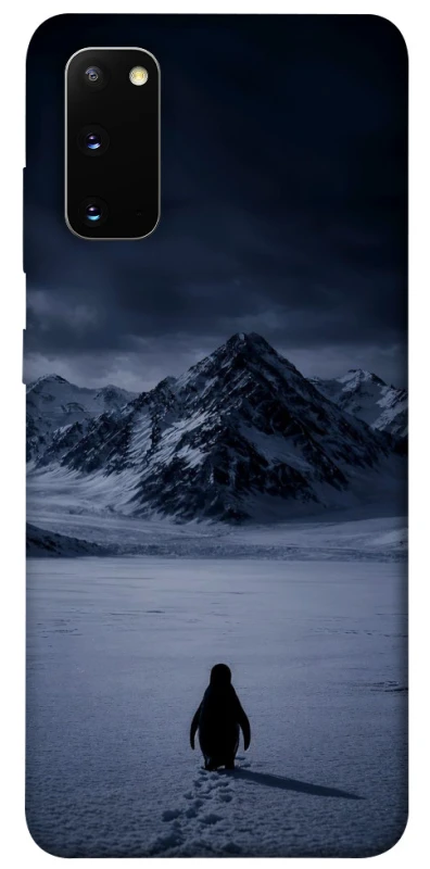 Чехол на Samsung Galaxy S20 But why? фото 1 из 1