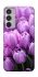 Чехол на Samsung Galaxy M35 Фиолетовые тюльпаны фото 1 из 1