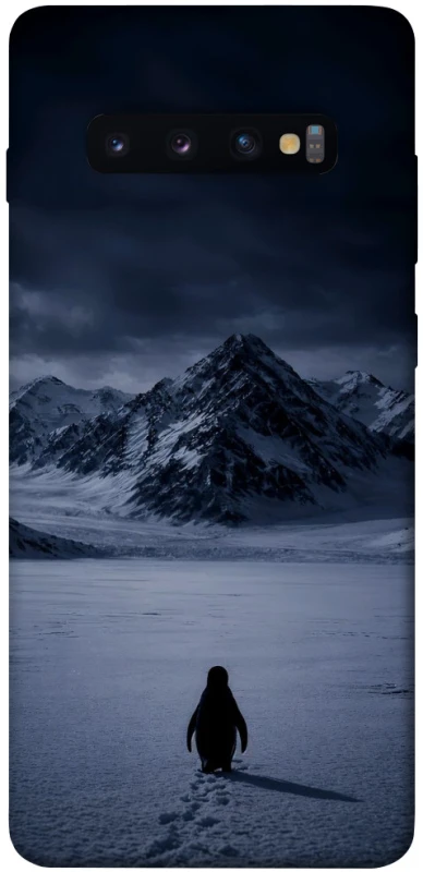 Чехол на Samsung Galaxy S10+ But why? фото 1 из 1