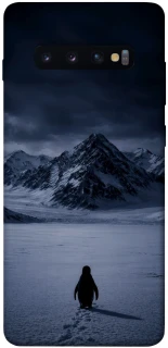 Чехол на Samsung Galaxy S10+ But why? фото 1 из 1