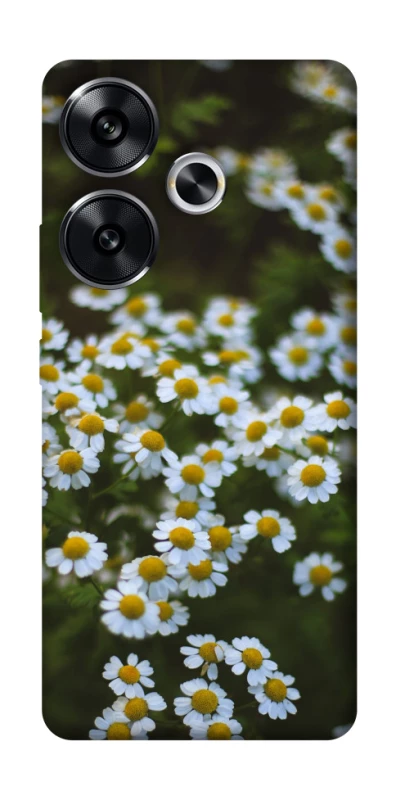 Чехол на Xiaomi Poco F6 Ромашки v13 фото 1 из 1