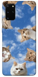 Чохол на Samsung Galaxy S20+ Сats фото 1 з 1