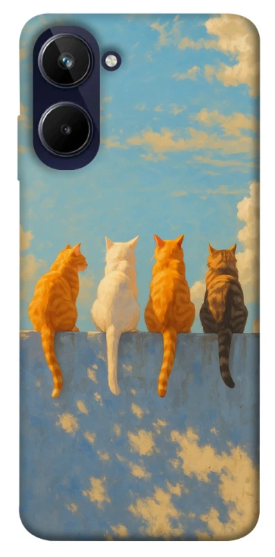Чохол на Realme 10 4G cats on wall фото 1 з 1