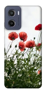 Чохол на Motorola Moto E15 Поле маків фото 1 з 1