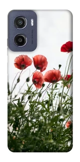 Чехол на Motorola Moto G05 Поле маков фото 1 из 1