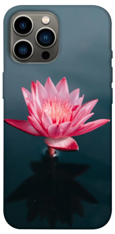 Чехол на Apple iPhone 13 Pro Max (6.7") Лотос фото 1 из 1