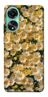 Чехол на Oppo A78 4G Camomile фото 1 из 1