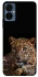 Чохол на TECNO Camon 19 Neo Leopard v4 фото 1 з 1