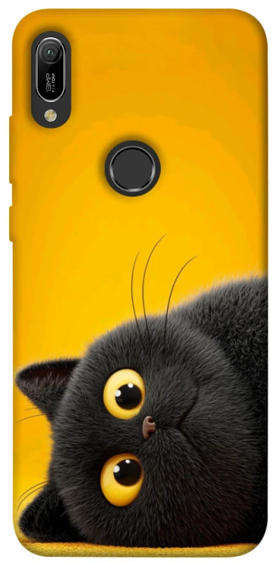 Чехол на Huawei Y6 (2019) This is Cat фото 1 из 1