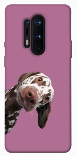 Чохол на OnePlus 8 Pro А що тут фото 1 з 1