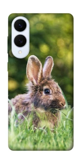 Чехол на Samsung Galaxy S25 Edge Кролики фото 1 из 1