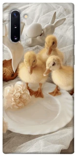 Чехол на Samsung Galaxy Note 10 Easter Vibes фото 1 из 1