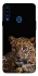 Чохол на Samsung Galaxy A20s Leopard v4 фото 1 з 1