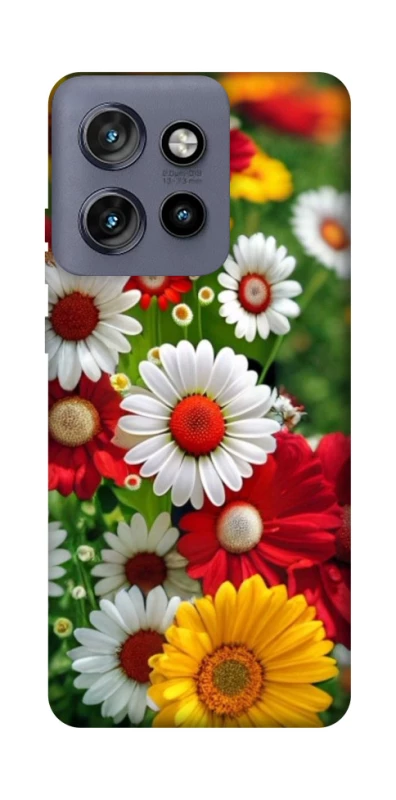 Чохол на Motorola Edge 50 Neo Flowers v11 фото 1 з 1