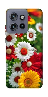 Чохол на Motorola Edge 50 Neo Flowers v11 фото 1 з 1