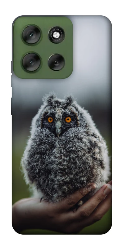 Чохол на Motorola Moto G56 5G Совеня фото 1 з 1