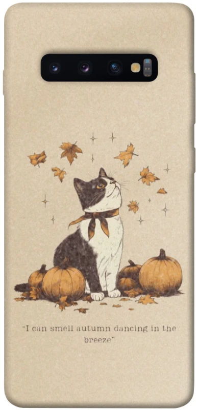 Чохол на Samsung Galaxy S10+ Autumn vibes ver.3 фото 1 з 1