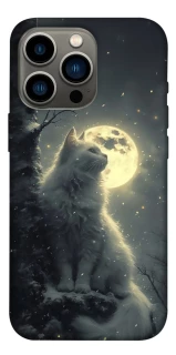 Чохол на Apple iPhone 13 Pro (6.1") Кіт під місяцем фото 1 з 1