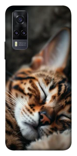 Чехол на Vivo Y31 Cat paws фото 1 из 1