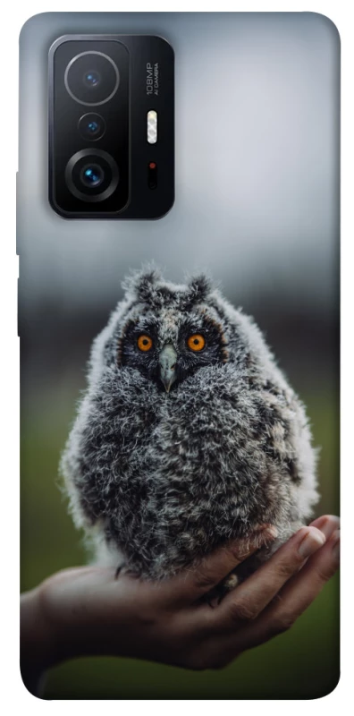 Чохол на Xiaomi 11T / 11T Pro Совеня фото 1 з 1