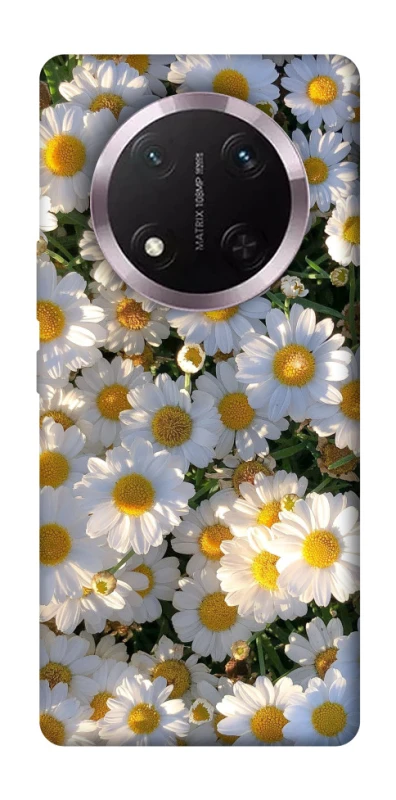 Чехол на Honor X9c Поле ромашек фото 1 из 1