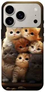 Чехол на Apple iPhone 18 Pro Чехол Kittie Love v2 фото 1 из 2
