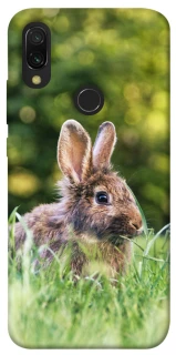 Чехол на Xiaomi Redmi 7 Кролики фото 1 из 1