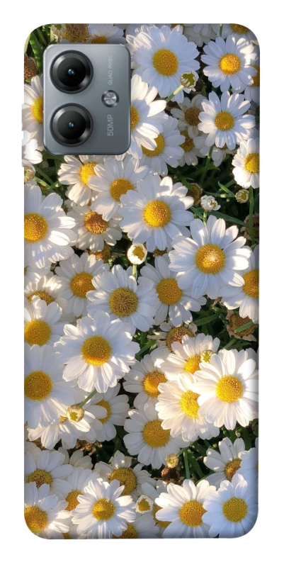 Чохол на Motorola Moto G14 Поле ромашок фото 1 з 1