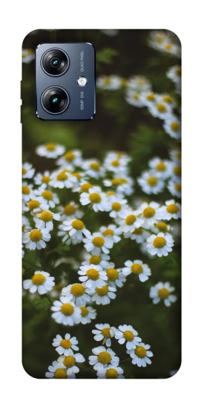 Чохол на Motorola Moto G54 Power Ромашки v13 фото 1 з 1
