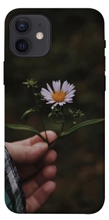 Чехол на Apple iPhone 12 (6.1") Ромашка v4 фото 1 из 1