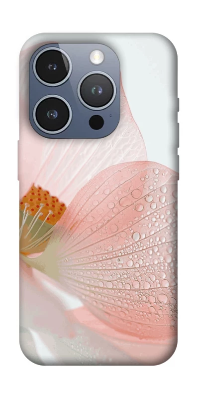 Чехол на Apple iPhone 16 Pro Flowers zon фото 1 из 1