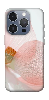 Чехол на Apple iPhone 16 Pro Flowers zon фото 1 из 1