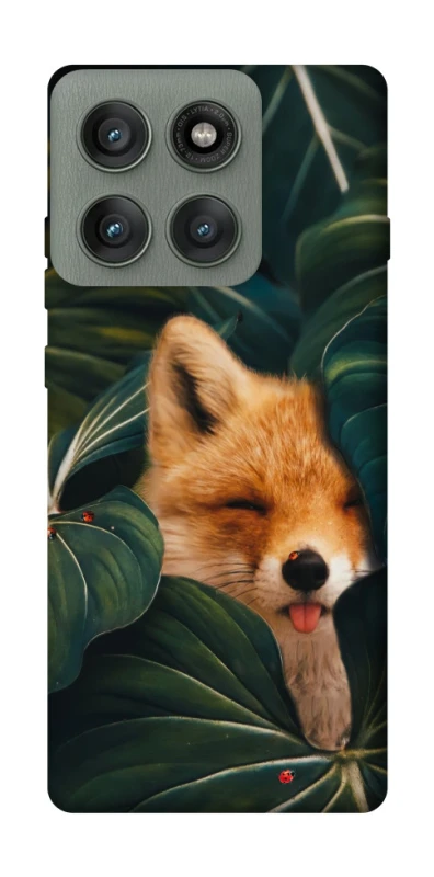 Чехол на Motorola Edge 60 Pro Fox фото 1 из 1