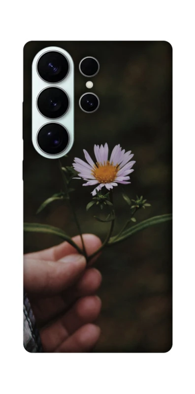 Чехол на Samsung Galaxy S26 Ромашка v4 фото 1 из 1