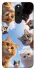 Чохол на Xiaomi Redmi 8 Cats фото 1 з 1