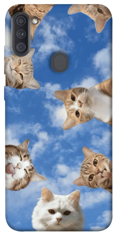 Чохол на Samsung Galaxy A11 Сats фото 1 з 1