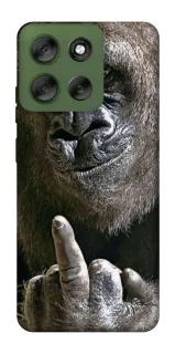 Чехол на Motorola Moto G56 5G Surprise фото 1 из 1