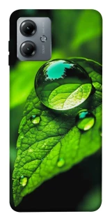 Чохол на Motorola Moto G14 Flowers v16 фото 1 з 1