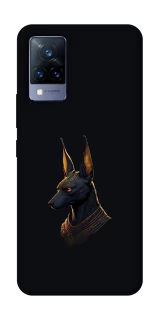 Чохол на Vivo V21 Anubis фото 1 з 1