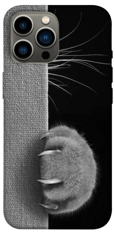 Чехол на Apple iPhone 12 Pro Max (6.7") Spy Cat фото 1 из 1