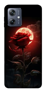 Чохол на Motorola Moto G54 Червона троянда фото 1 Чохол на Motorola Moto G54 Червона троянда фото 1 з 1