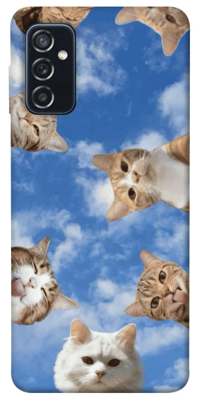 Чохол на Samsung Galaxy M52 Сats фото 1 з 1