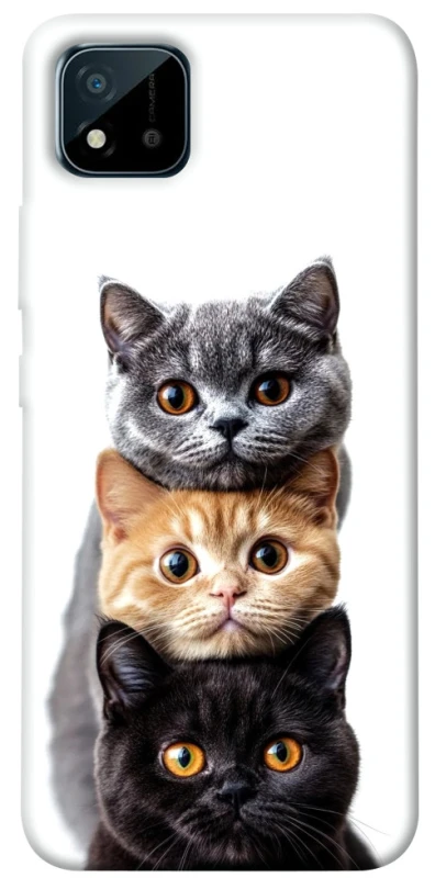 Чохол на Realme C11 (2021) Гарні котики фото 1 з 1