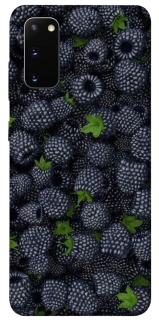 Чохол на Samsung Galaxy S20 Fresh фото 1 з 1