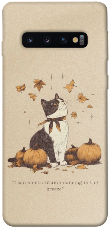 Чехол на Samsung Galaxy S10 Autumn vibes ver.3 фото 1 Чехол на Samsung Galaxy S10 Autumn vibes ver.3 фото 1 из 1