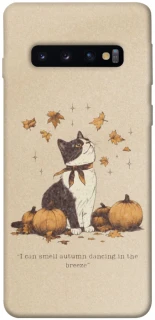 Чехол на Samsung Galaxy S10 Autumn vibes ver.3 фото 1 Чехол на Samsung Galaxy S10 Autumn vibes ver.3 фото 1 из 1